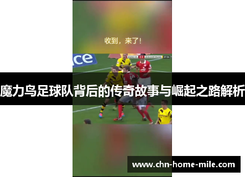 魔力鸟足球队背后的传奇故事与崛起之路解析