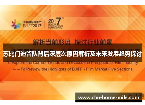 苏比门迪留队背后深层次原因解析及未来发展趋势探讨