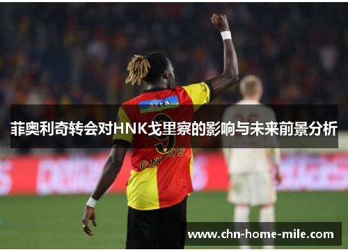 菲奥利奇转会对HNK戈里察的影响与未来前景分析 菲奥利奇转会对HNK戈里察的影响与未来前景分析