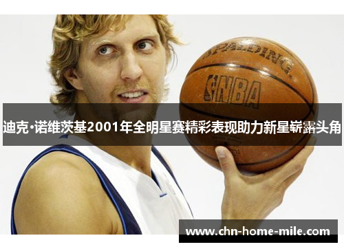 迪克·诺维茨基2001年全明星赛精彩表现助力新星崭露头角